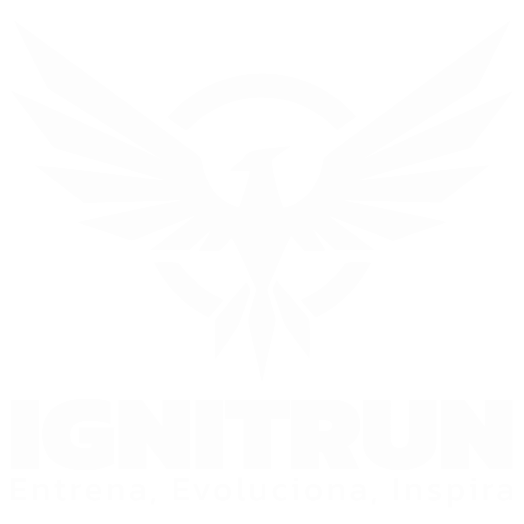 IgnitRun